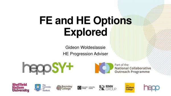 FE and HE Options Explored