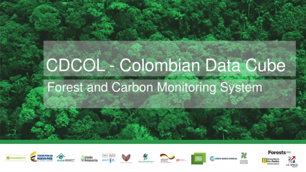 CDCOL - Colombian Data Cube