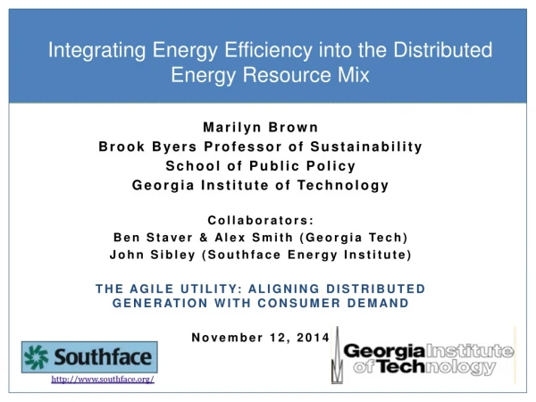 Integrating Energy Efficiency into the Distributed Energy Resource Mix