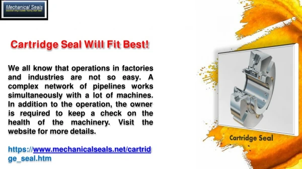 cartridge seal will fit best