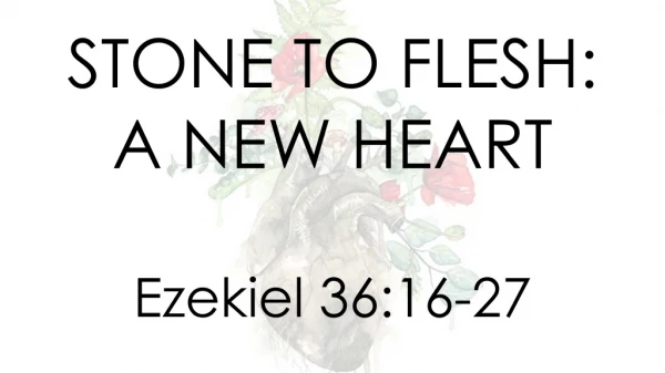 STONE TO FLESH: A NEW HEART Ezekiel 36:16-27