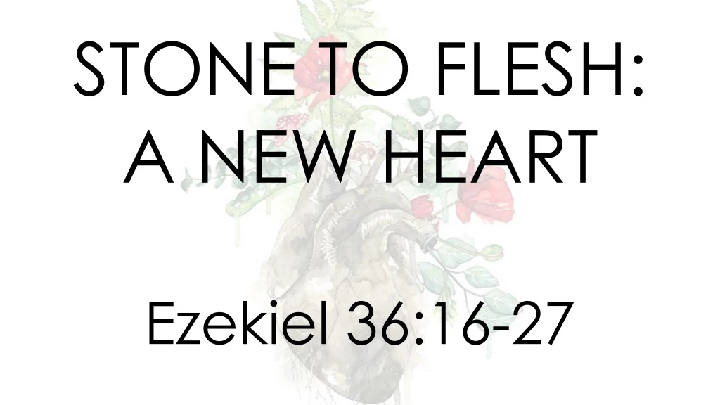 stone to flesh a new heart ezekiel 36 16 27