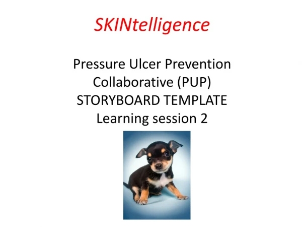 Pressure Ulcer Prevention (PUP) Collaborative Programme February 2014 – December 2014