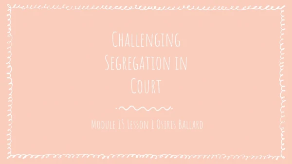 Challenging Segregation in Court