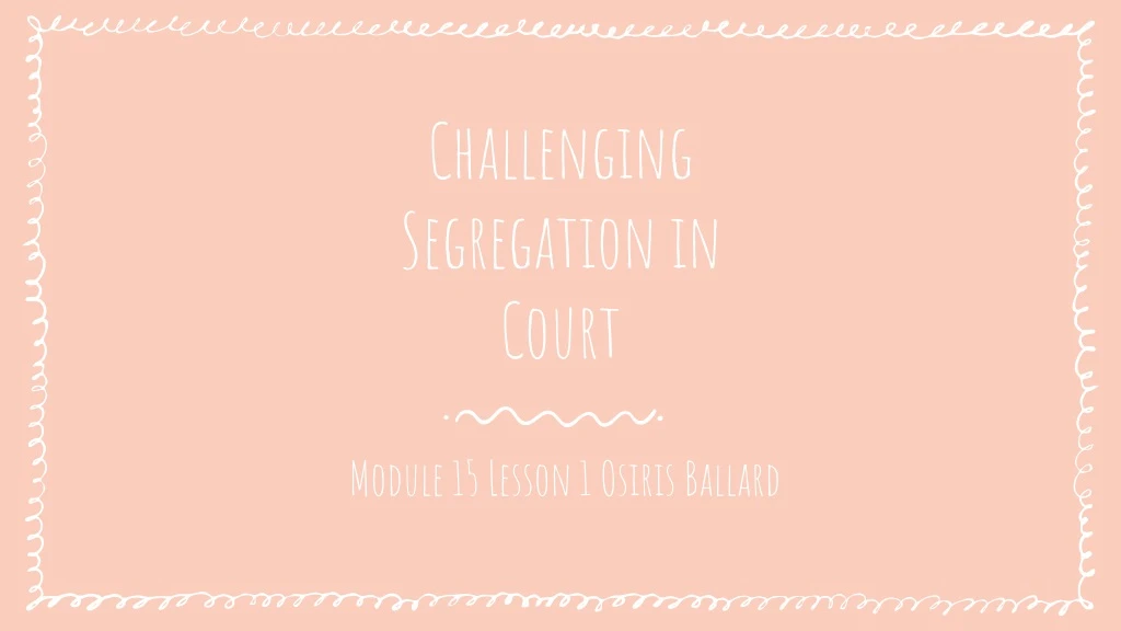 challenging segregation in court