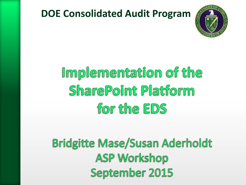 doe consolidated audit program