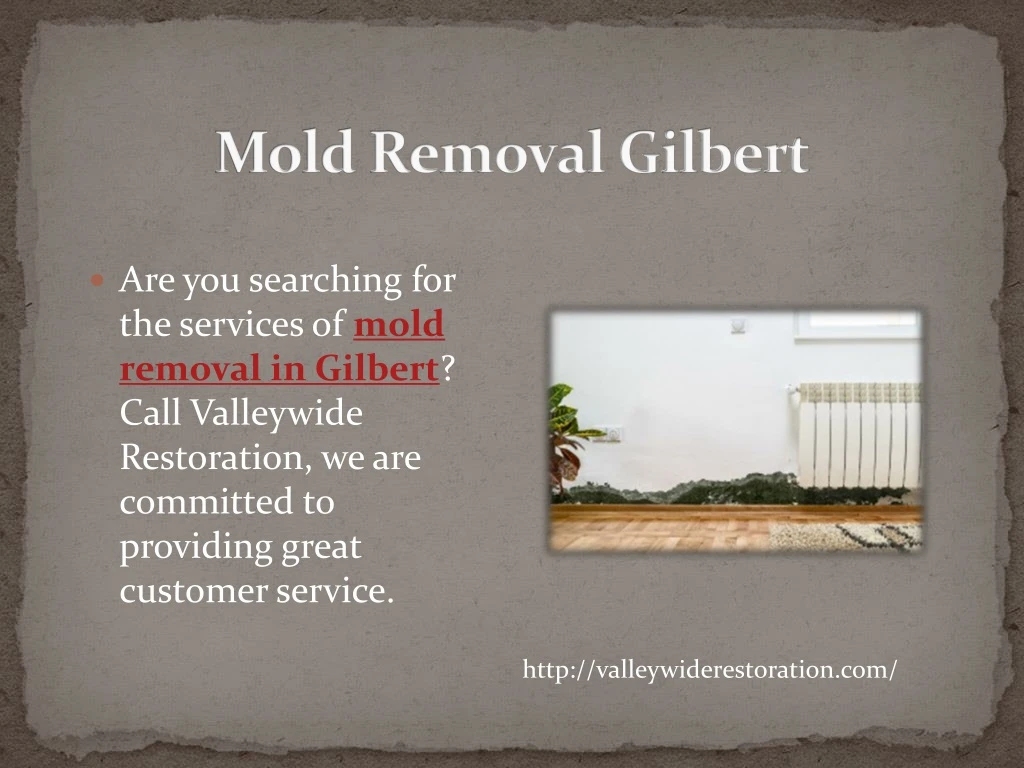 mold removal gilbert