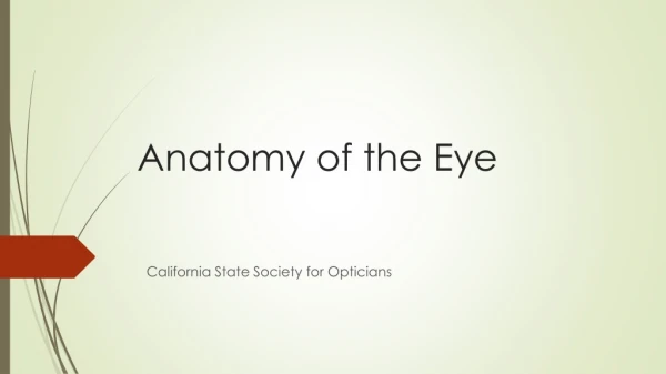 Anatomy of the Eye