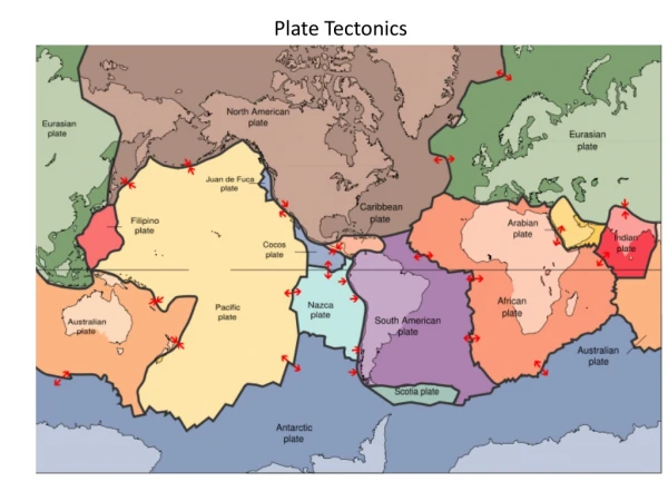 Plate Tectonic