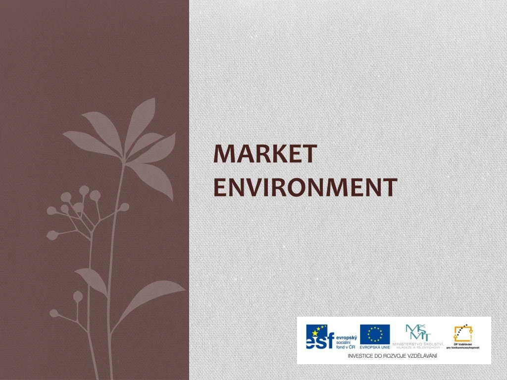 market environment