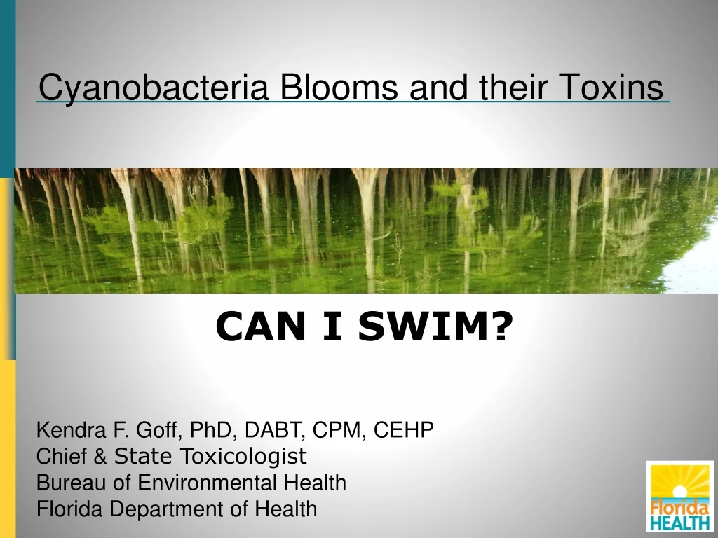 cyanobacteria blooms and their toxins