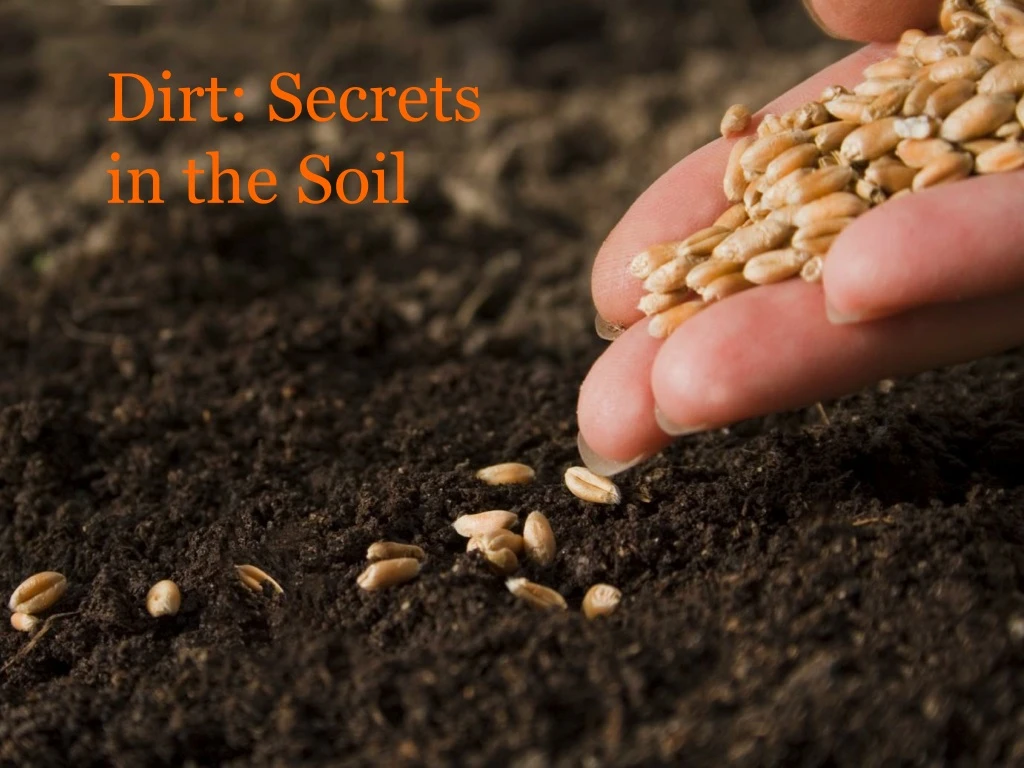 dirt secrets in the soil