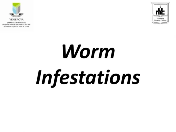 Worm Infestations