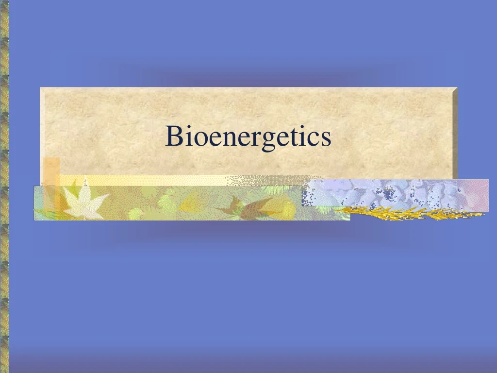 bioenergetics