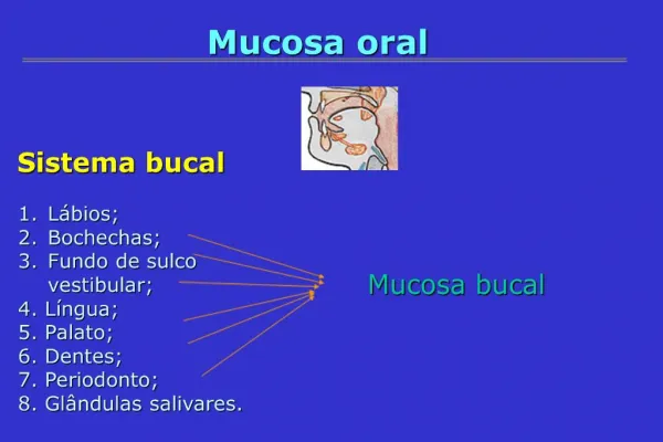 Mucosa oral