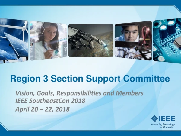 Region 3 Section Support Committee