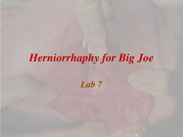 H erniorrhaphy for Big Joe