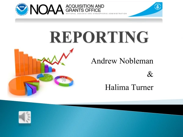REPORTING