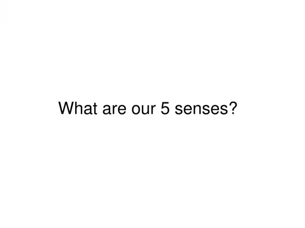 What are our 5 senses?
