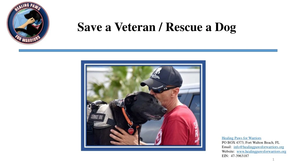 save a veteran rescue a dog