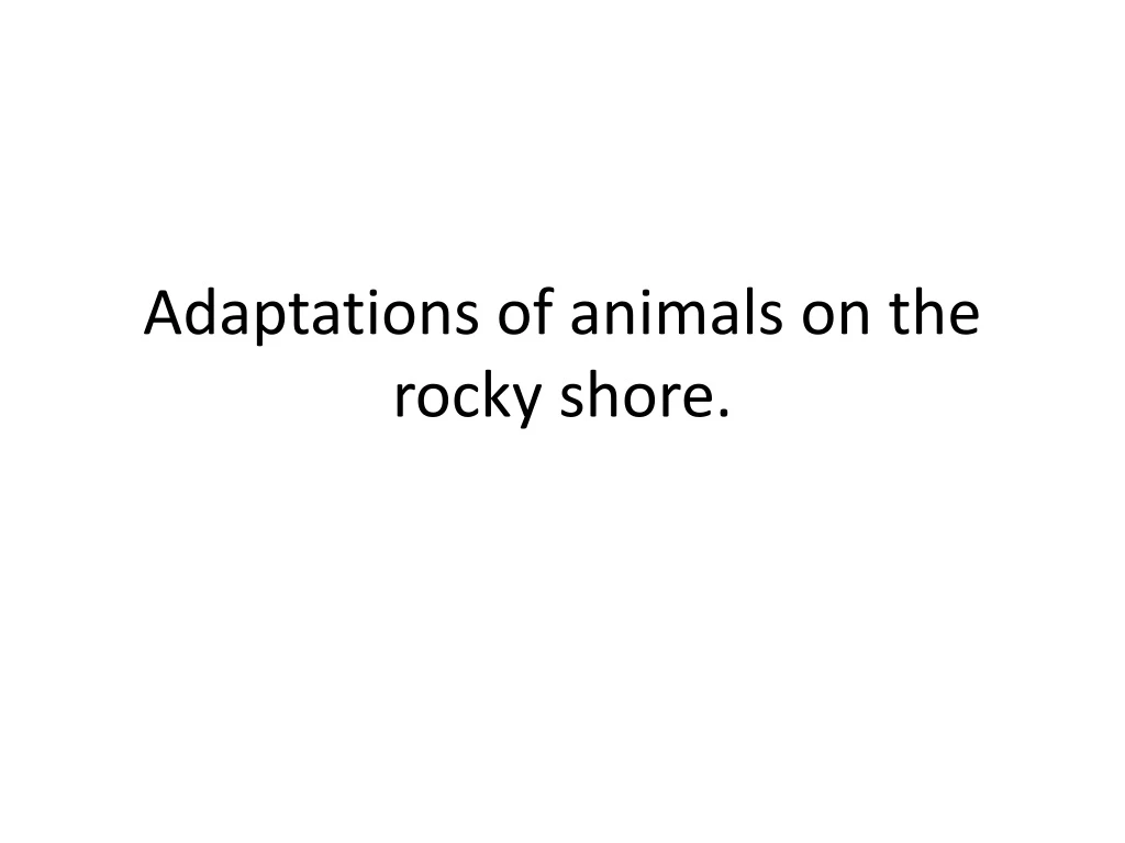 adaptations of animals on the rocky shore