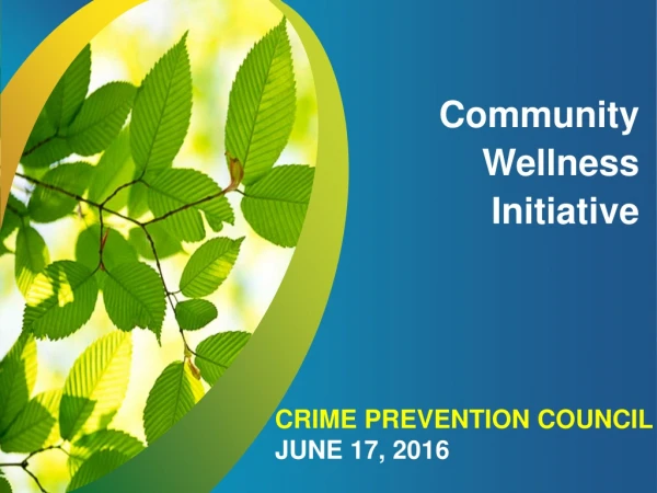 Community Wellness Initiative