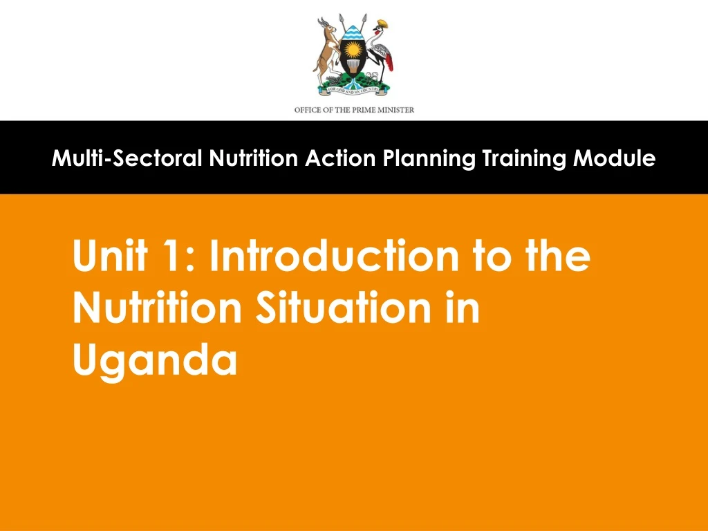 multi sectoral nutrition action planning training