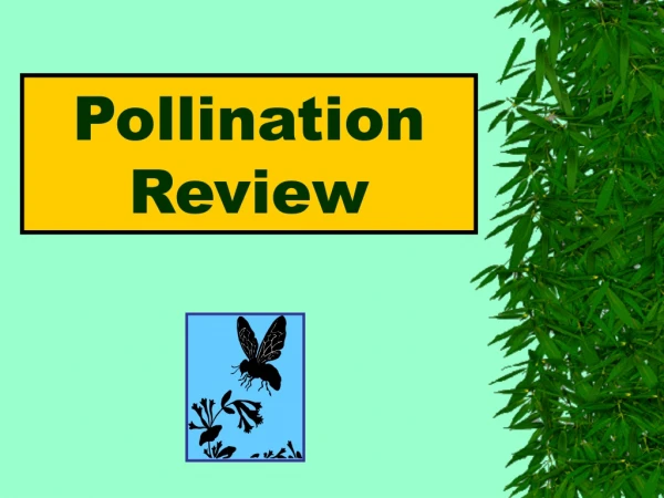 Pollination Review