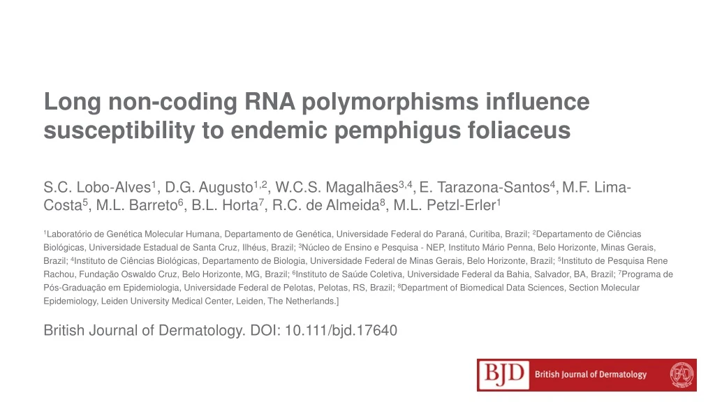 long non coding rna polymorphisms influence susceptibility to endemic pemphigus foliaceus
