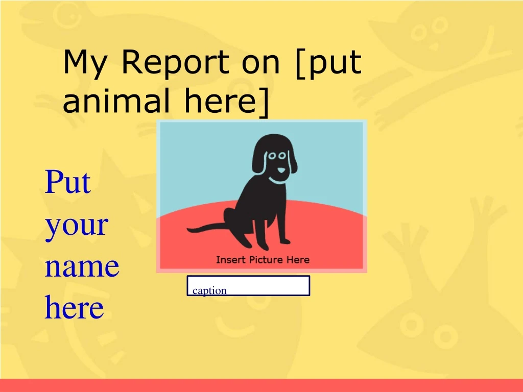 my report on put animal here