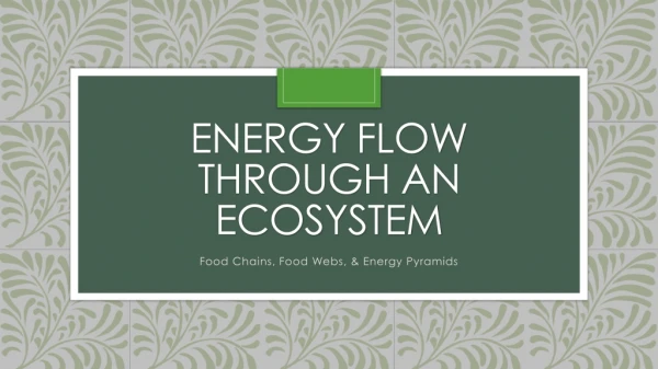 Energy flow through an ecosystem