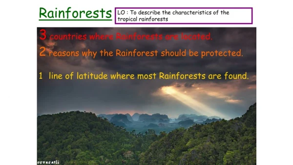 Rainforests