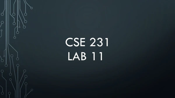 CSE 231 Lab 11