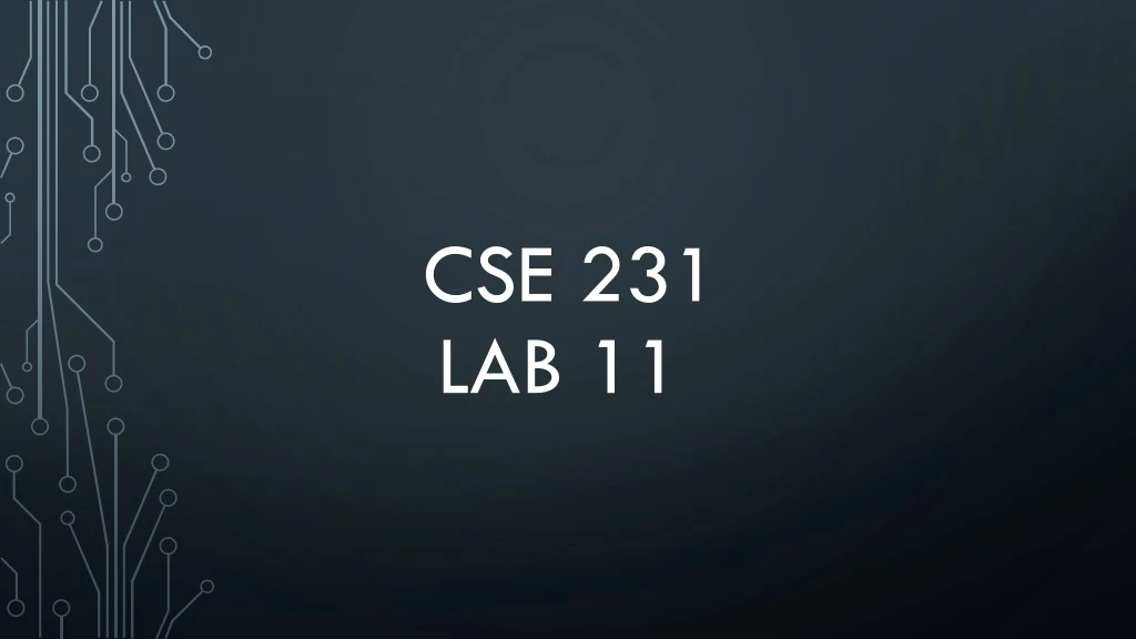 cse 231 lab 11