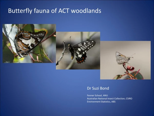 Butterfly fauna of ACT woodlands