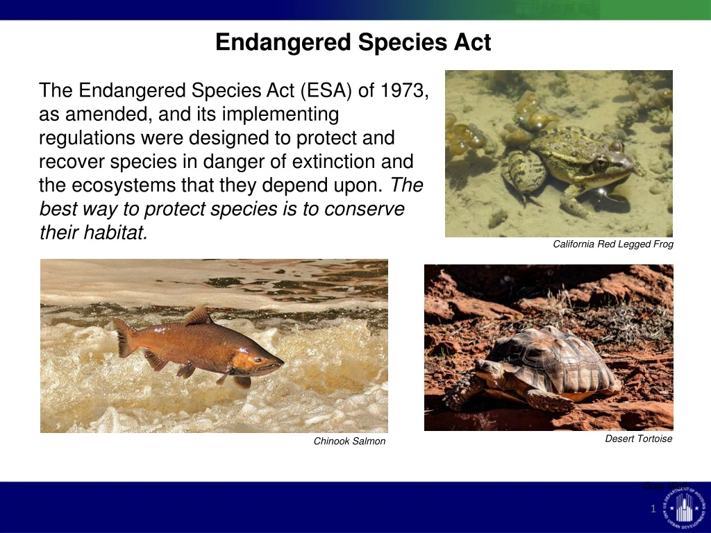 endangered species act