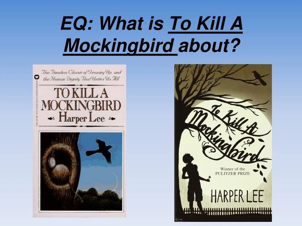 eq what is to kill a mockingbird ab out