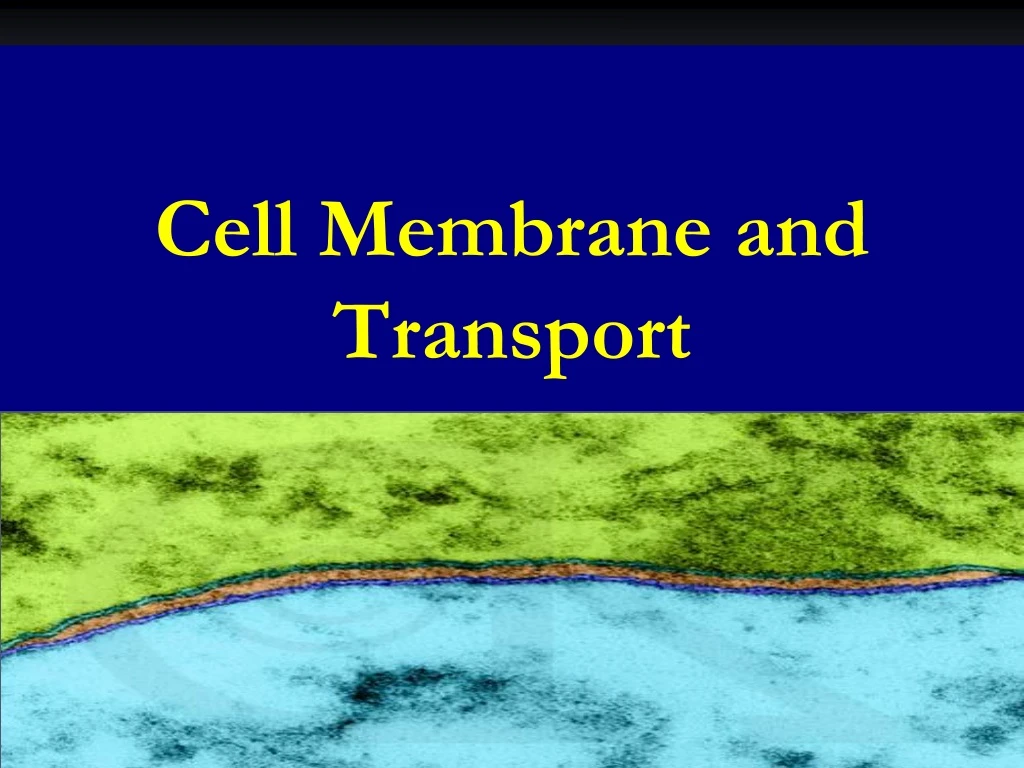 cell membrane and transport