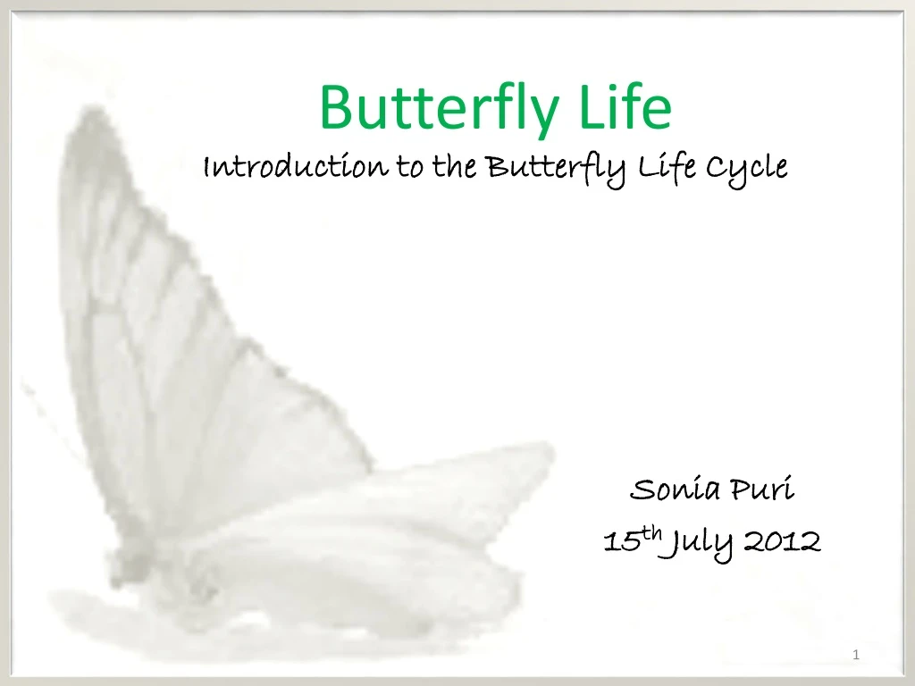 butterfly life introduction to the butterfly life cycle