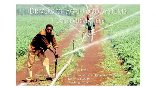 Drivers of agri -food systems transformation
