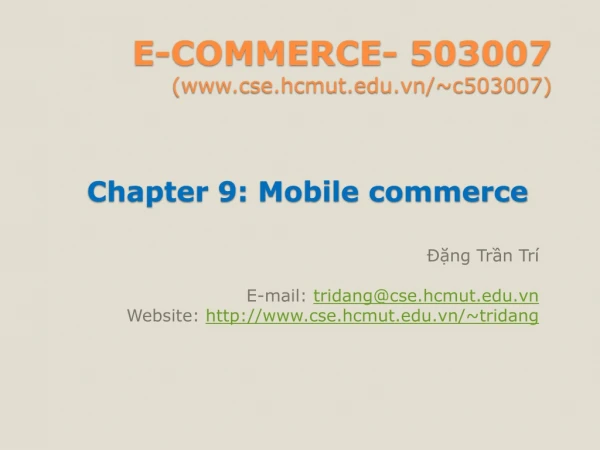 E-COMMERCE- 503007 (cse.hcmut.vn/~c503007)