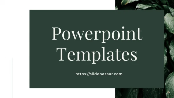 Powerpoint Presentation Templates