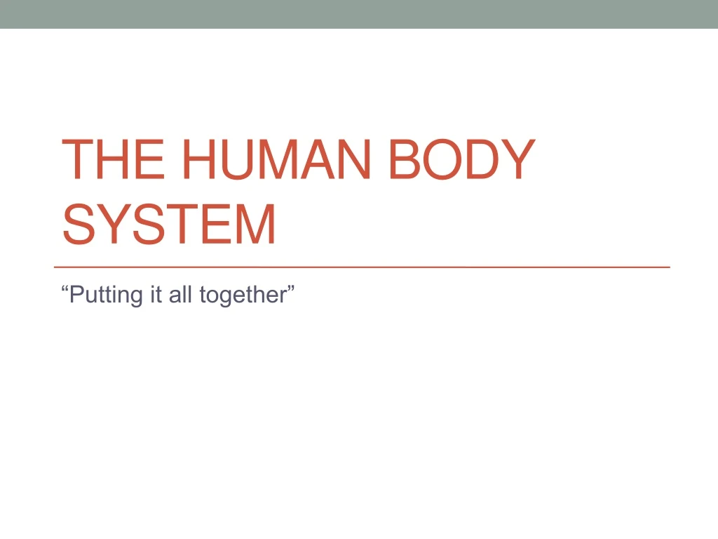 the human body system