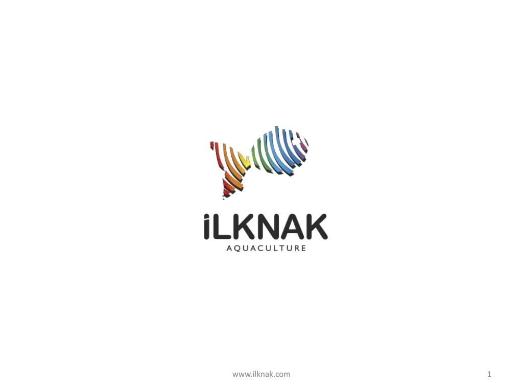 www ilknak com