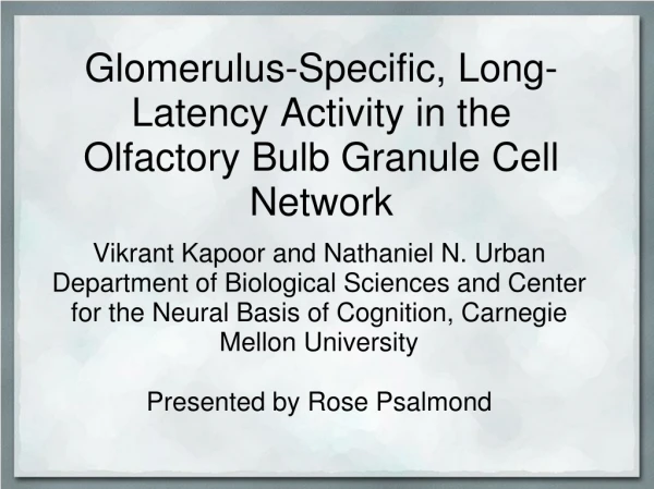 Glomerulus -Specific, Long-Latency Activity in the Olfactory Bulb Granule Cell Network