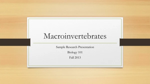 Macroinvertebrates
