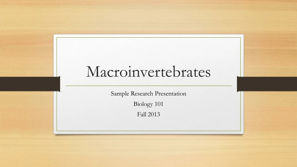 macroinvertebrates