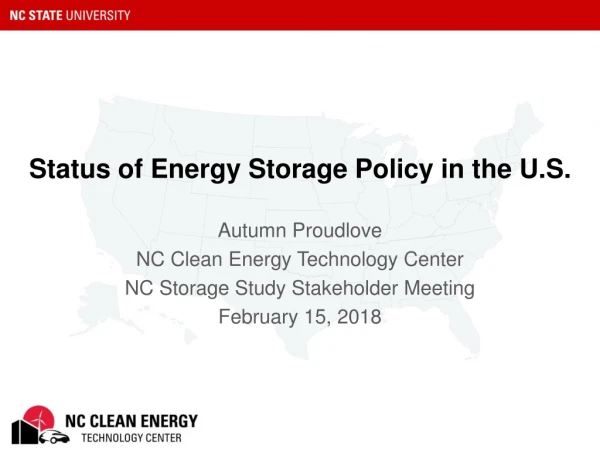 Status of Energy Storage Policy in the U.S.