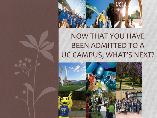 Now that you have been admitted to a uc CAMPUS, What’s next?