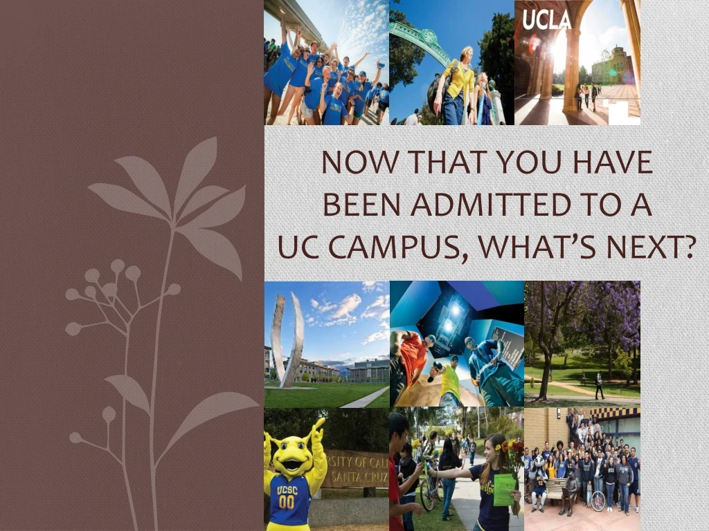 now that you have been admitted to a uc campus what s next